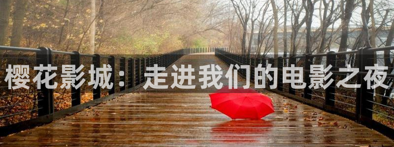 星空影视vip破解版