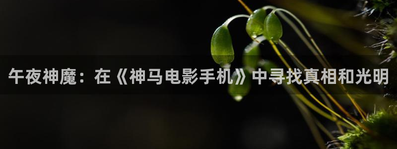 星空传媒观看
