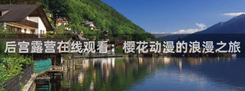 星空影视正版