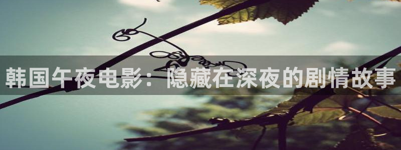 星空传媒完整免费观看视频