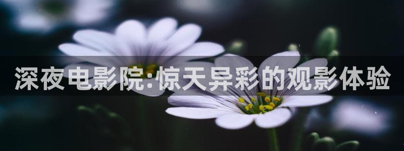 神马影院热门电视剧有哪些