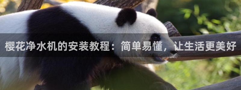 神马影院旧版本入口
