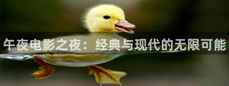 星空影视免费在线观看