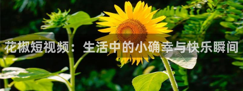 星空影视院