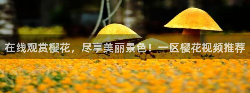 星空影视在线观看完整版