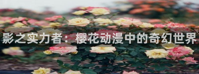 合肥星空今日影讯