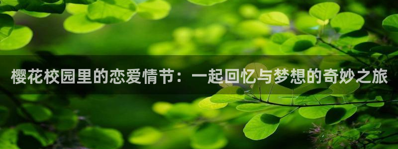 神马影院高清