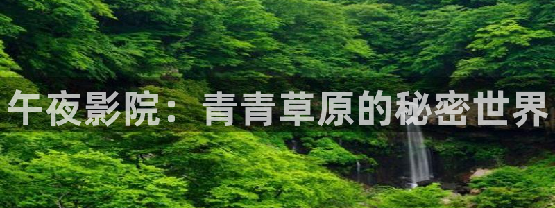 星空影视软件