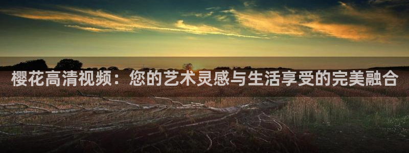 星空电影在线观看免费版高清