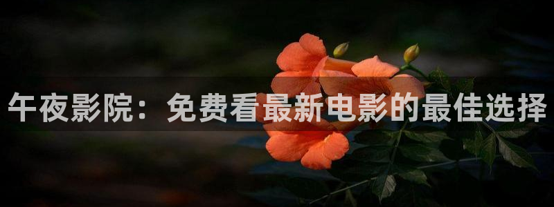 星空电影在线观看免费完整版