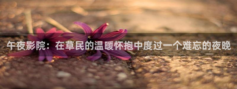 神马影院电视免费观看