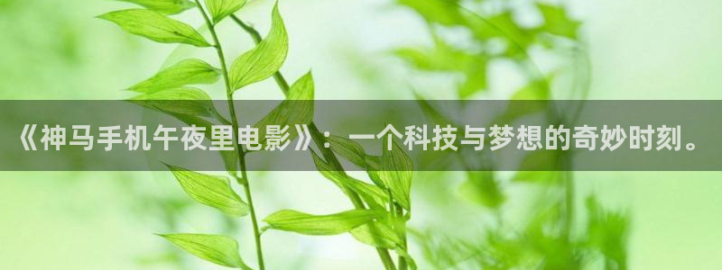 星空播放