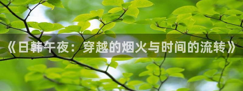 星空影视免费观看电视剧高清